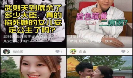 午夜短视频在线观看,沉浸式在线观看体验